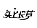 頭上長(zhǎng)草